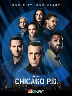 芝加哥警署第九季